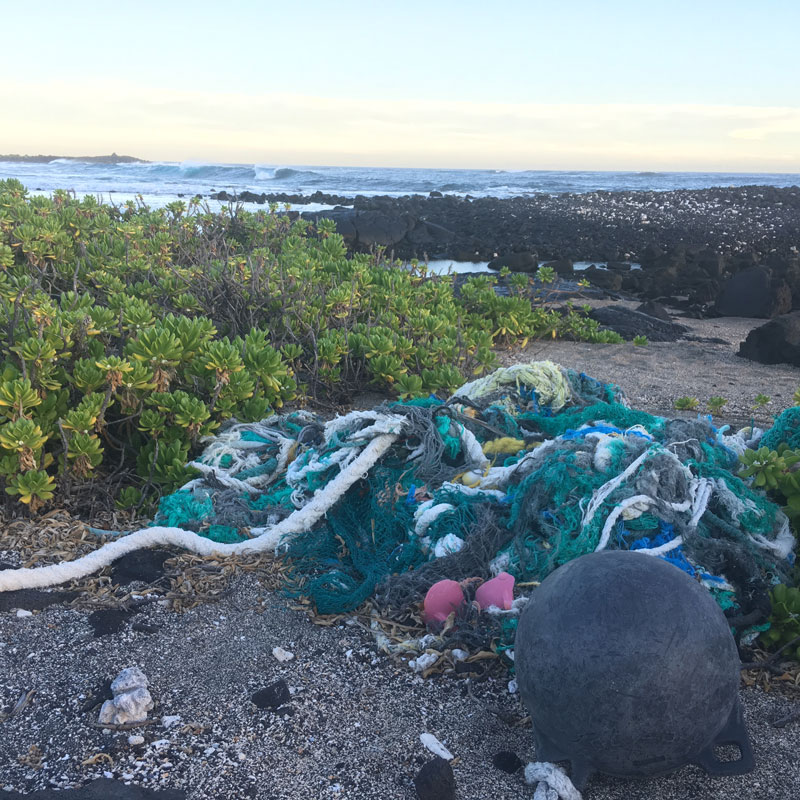 Marine debris