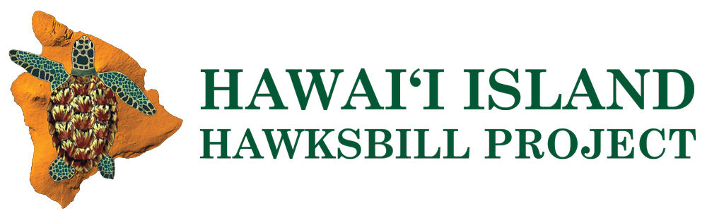 Hawaii Island Hawksbill Project